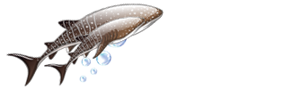 ningaloowhalesharkfestival.com